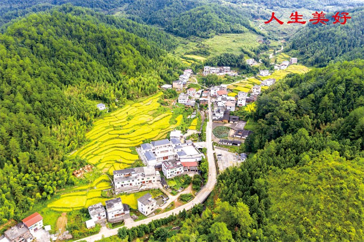 智能功放