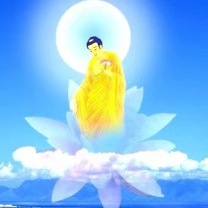 智能功放
