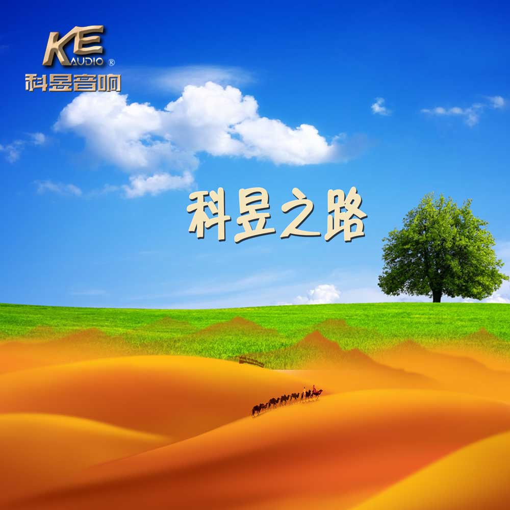 智能功放